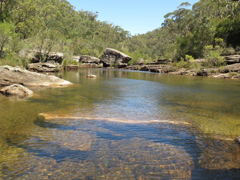 Kangaroo Creek, Royal National Park